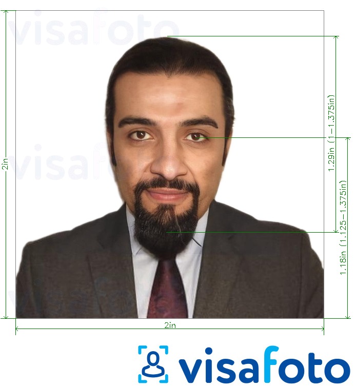 Exemplo de foto para Registro de chegadas dos Emirados Árabes Unidos 600x600 pixels com especificação exata de dimensão
