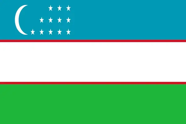 App Visa Photo per l'Uzbekistan: guida per il visto da seguire