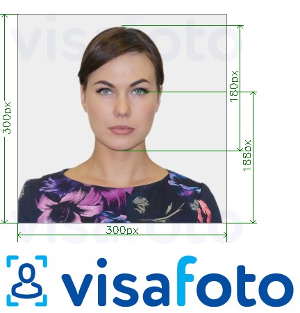 Exemplo de foto para Carteira de Identidade da Southeastern Online 300x300 px com especificação exata de dimensão