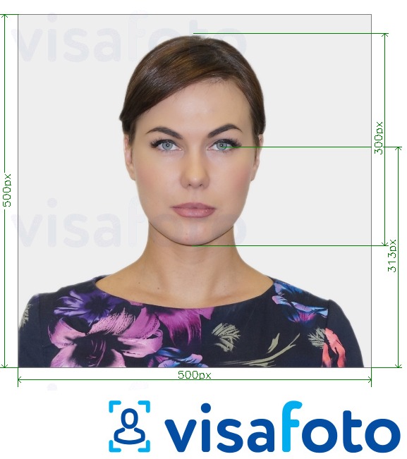 Exemplo de foto para Carteira de identidade da Universidade da Virgínia 500x500 px com especificação exata de dimensão