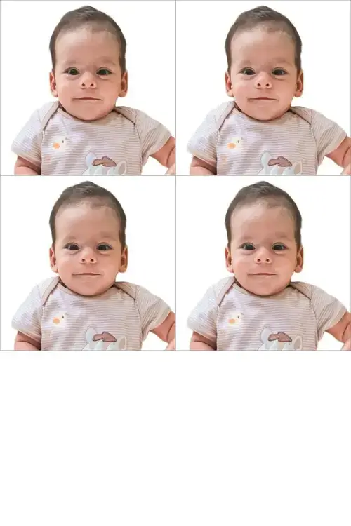 Fotos da loteria Baby DV para impressão